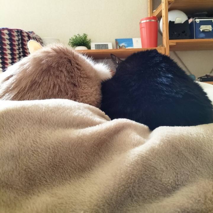 Bd73a430 3608 4d43 b9bd 4f179d9822f1 1670714725516