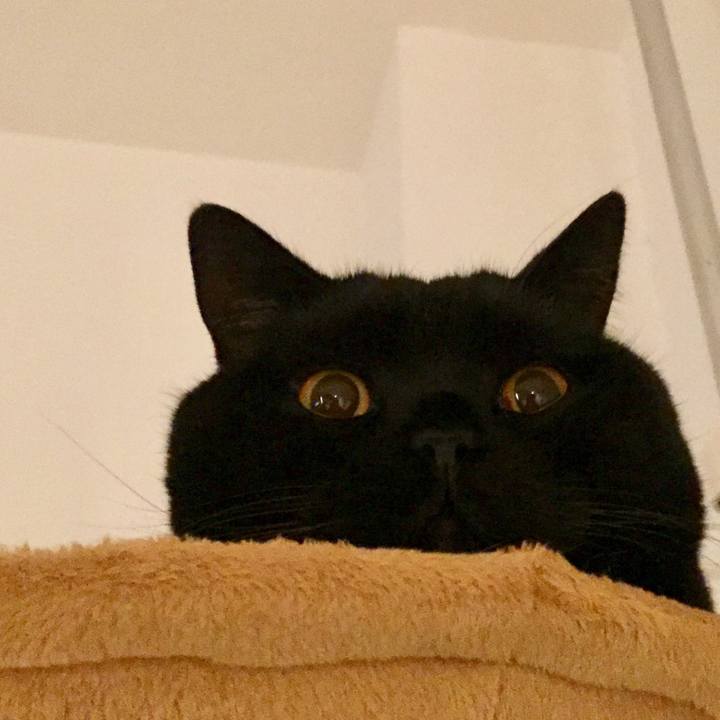 Bd73a4a2 efb0 4010 bf93 bc237b0b26f0 1578838909888