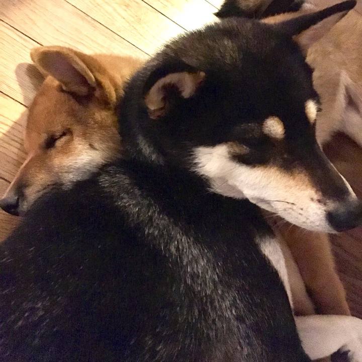 Bd73c7bb 7af3 4a54 bb21 fb917cc86ebc 1509386691951