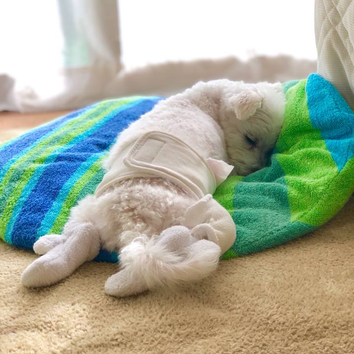 Bd73cff3 d2ea 4289 8eb9 1dc6c681277b 1571287947899