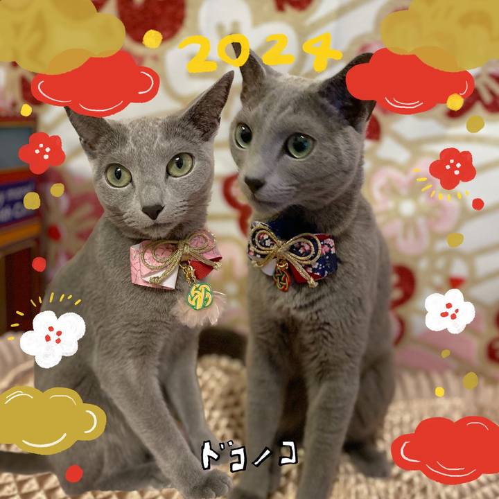 Bd73dc4d 5a63 44ae 8ba4 248c54cced97 1704201628960