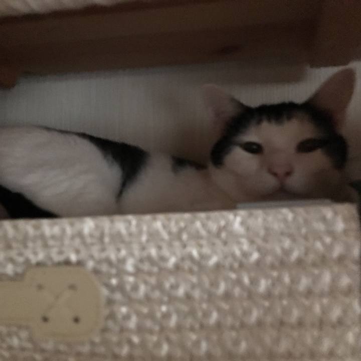 Bd742c97 f330 4721 b0f9 3ce3b7a3e235 1533726614911