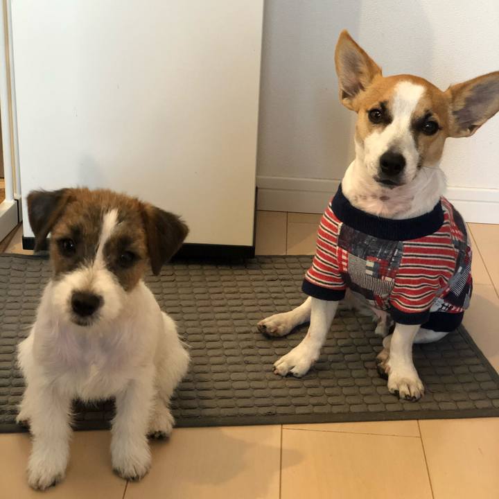 Bd74796e e34d 4017 80a0 ac6959b6180b 1579613466865