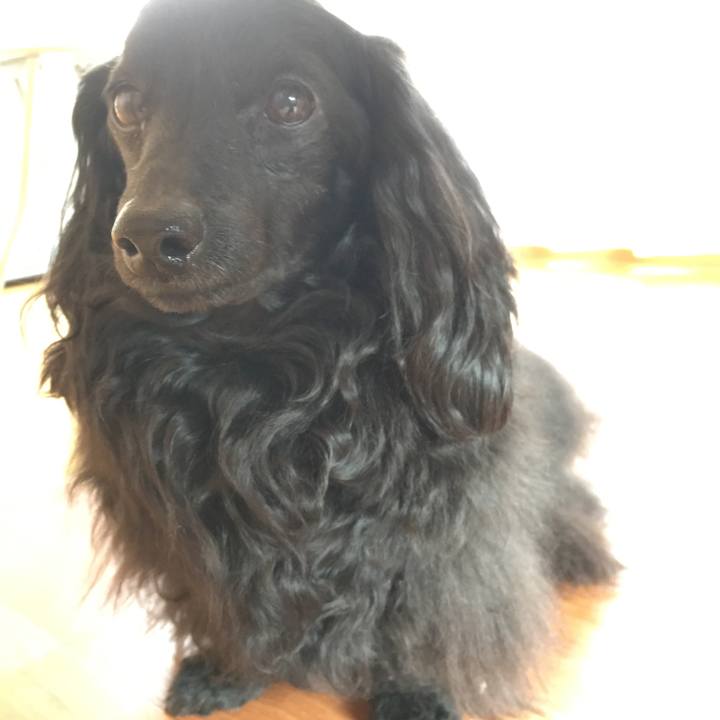 Bd74891b 49be 40c3 8dc4 05a5363a4c6d 1579562578670