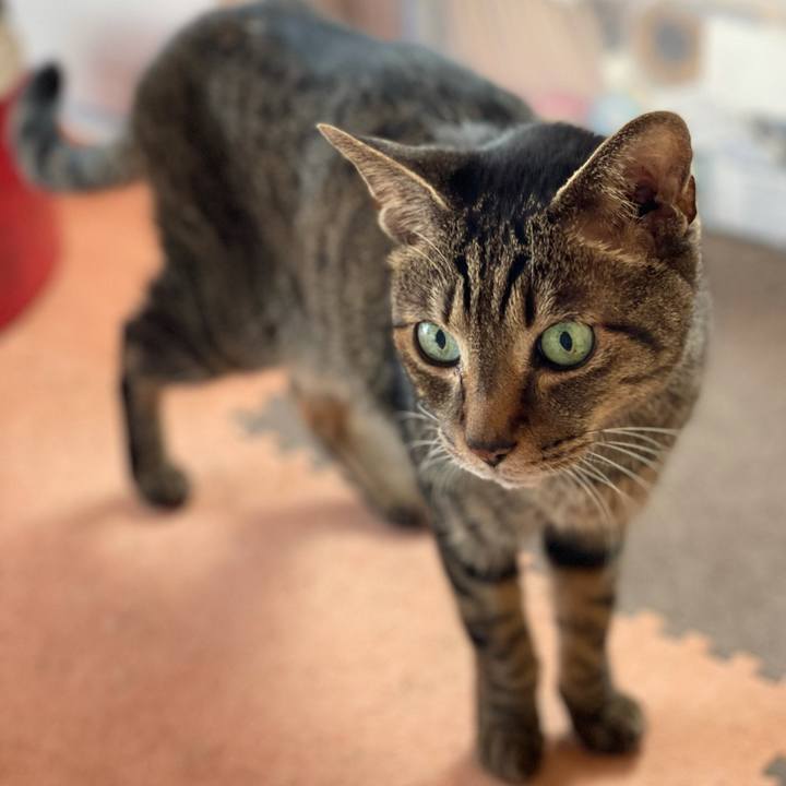 Bd74addf ffe3 439b bbe0 713e22b48041 1617241819774