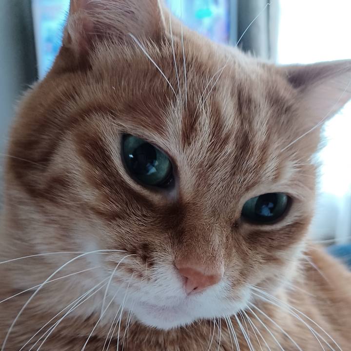 Bd74c3f2 b279 4c7e b484 98cbab5c5a6f 1671849825801