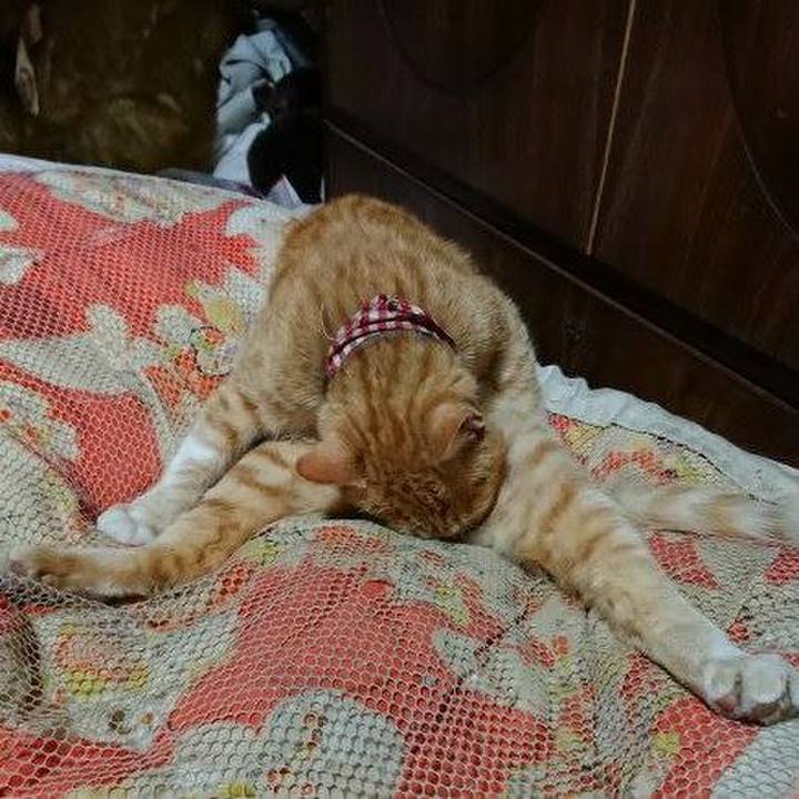 Bd74c93b 97b7 4450 9fae ed992935352a 1560257257819