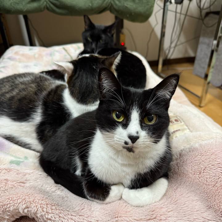 Bd74cd05 6017 4dfe a40f 6231c331f5d5 1765704020438