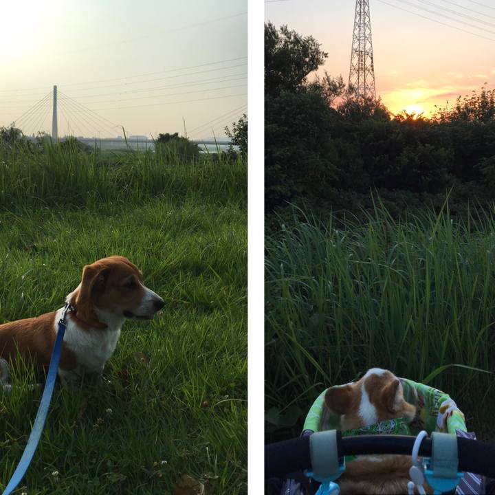 Bd74d7b3 1ed5 499f a265 5e390d9bfa8a 1597015654134