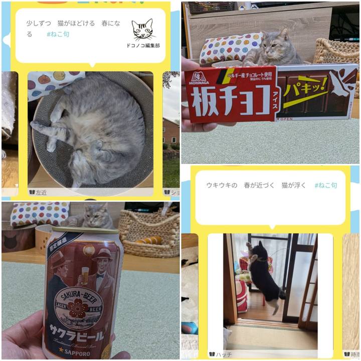 Bd74dbfa 0a77 4878 9945 85243ca85129 1744184242916