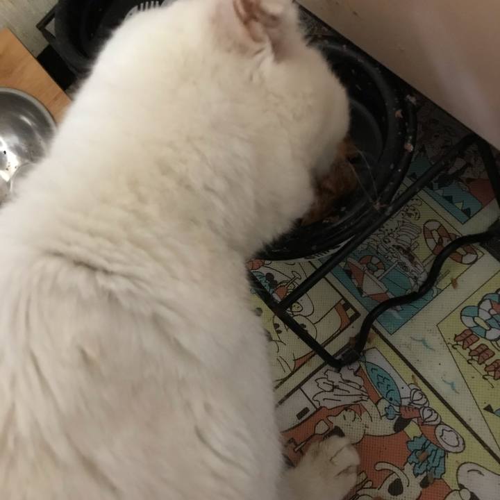 Bd74ef50 c106 460c a1b1 1869c1f15c69 1541978696810