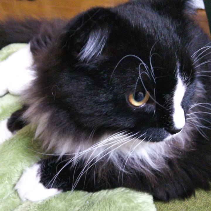 Bd750b06 5679 407e 8033 7e115206e92d 1653947549030