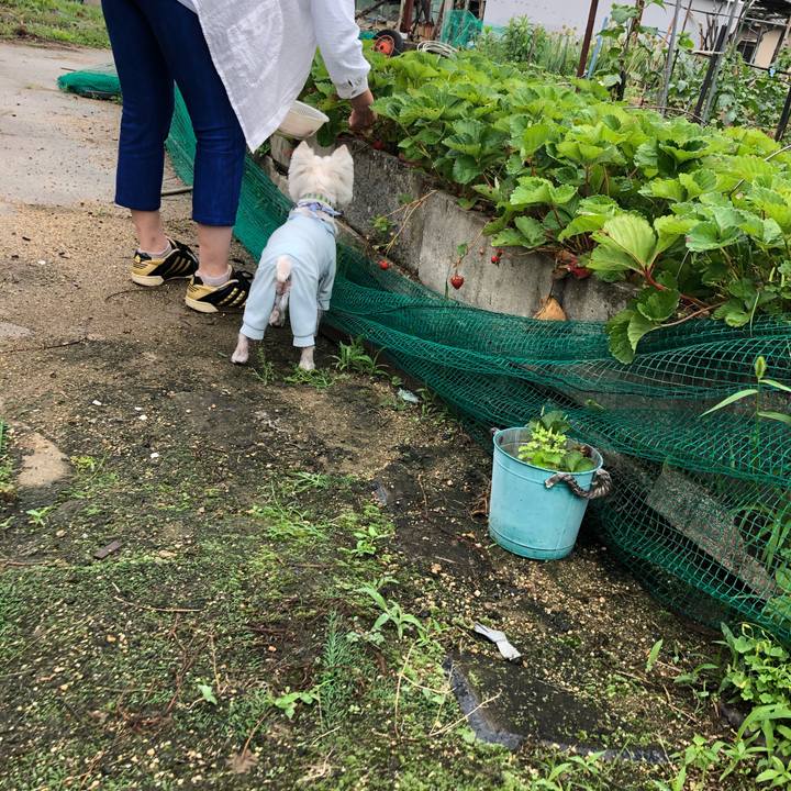 Bd75273e bcec 4042 87c5 664a8ee272a5 1621425374874