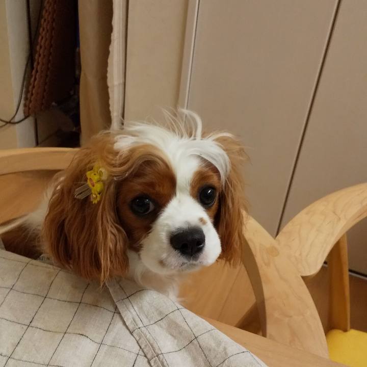 Bd7569a0 8eb2 4d2f b4a4 d2c1f61ff6b0 1585136211053