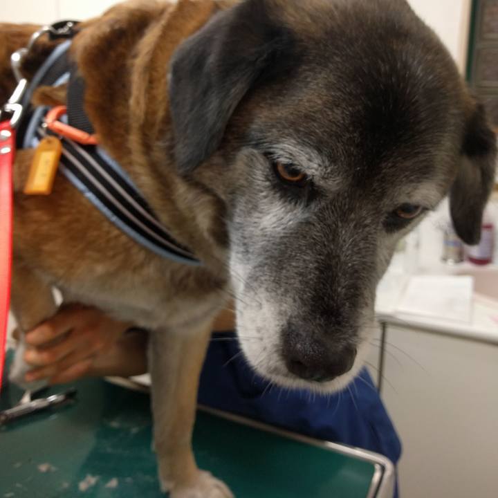 Bd75898a a22e 4447 bc47 7eb696fbddfc 1523355600968