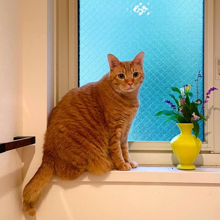 Bd75a842 3714 48c3 99b1 267ee26e8304 1698629656845