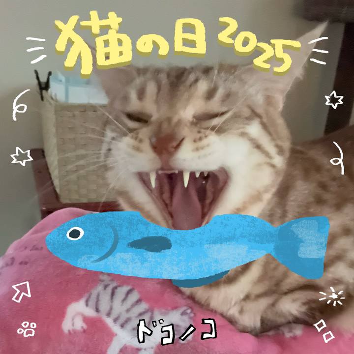 Bd75b4b8 54dd 4aa6 bf4f f5dc65e54b2a 1740233474869