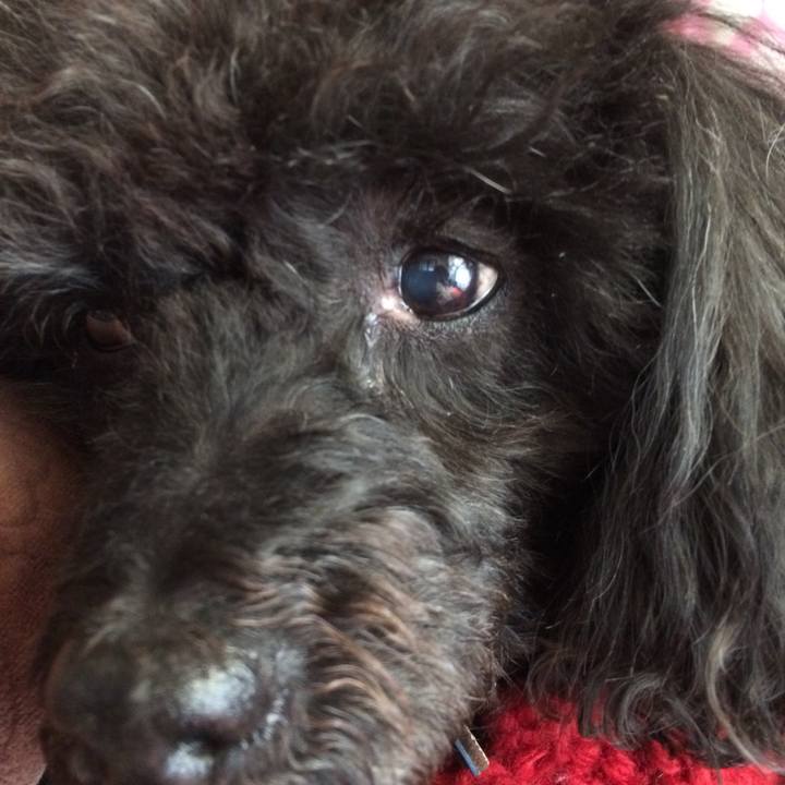 Bd75c7e0 ef83 4ec5 9b2c a73f9263a451 1515553558809