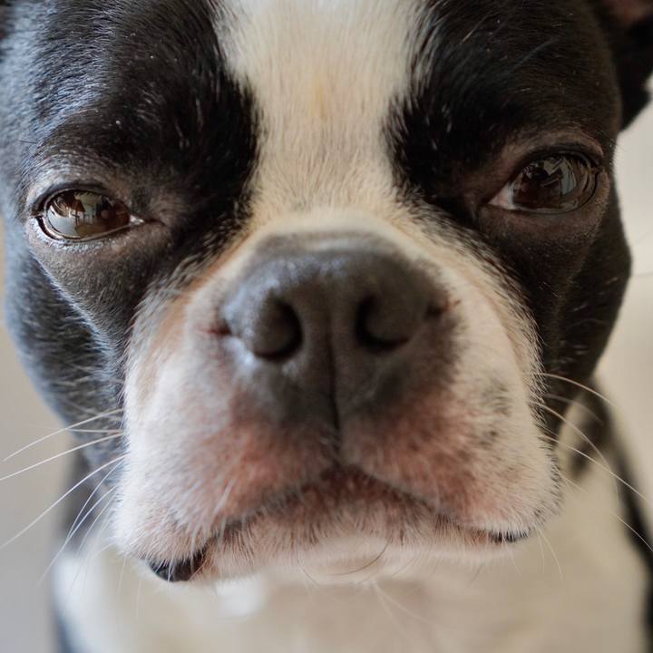 Bd75ce7e 97be 45c8 a90c 76c2677c8f50 1583313751871