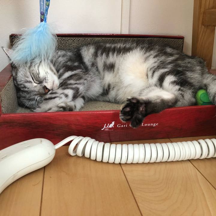 Bd75dd1d a79a 47c8 a28d a43c5631eb2b 1540445422271