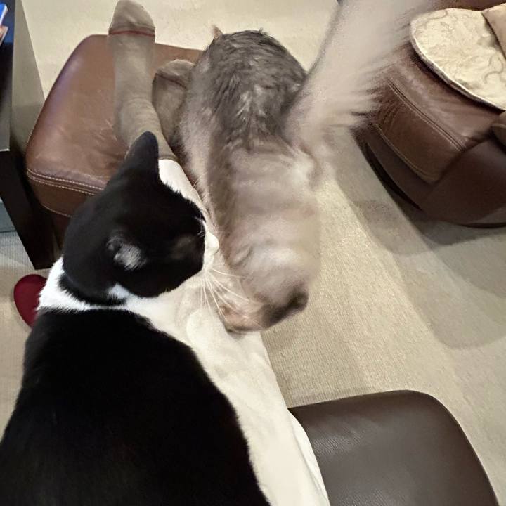 Bd75e3fa 2788 4712 886b d0d813c745b2 1762782947352