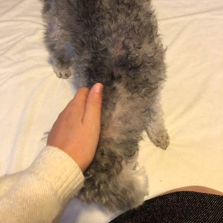 Bd760629 0f9b 4050 814e d9b9a7753159 1606953380179