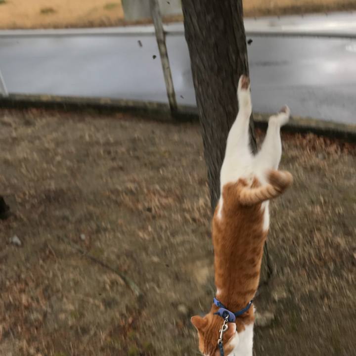 Bd76166c 19b5 44ff a291 f565f8e4fe03 1515561754227