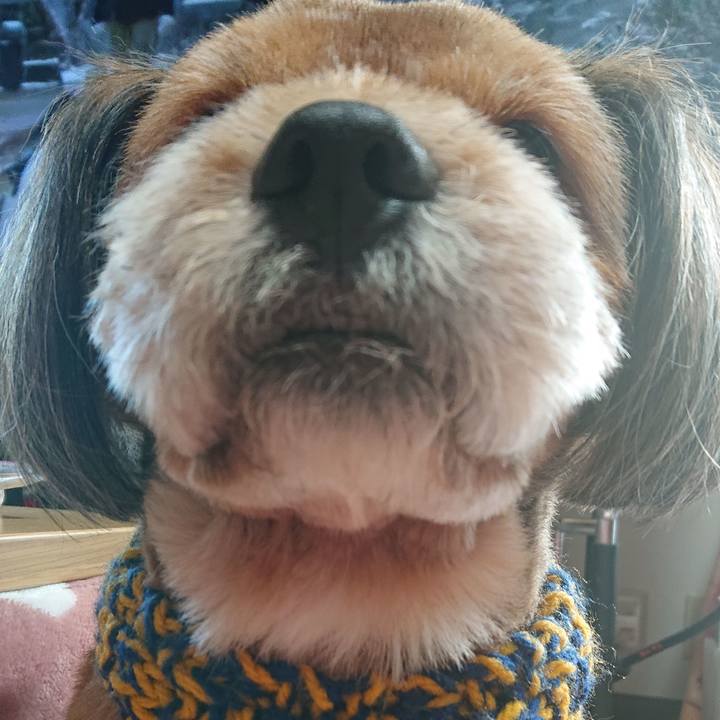 Bd761d90 f83d 4a1b 92ba 0fc7818fffc7 1544403013221