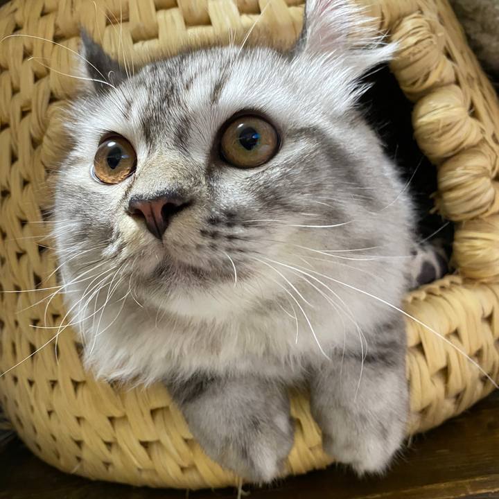 Bd762c85 3f00 4dff 8b48 b30a5e67eecd 1708961788584