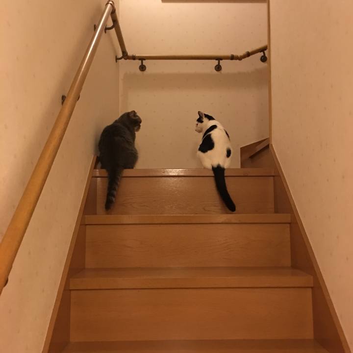 Bd764880 3497 4c26 b244 aefc9606142c 1539364440374