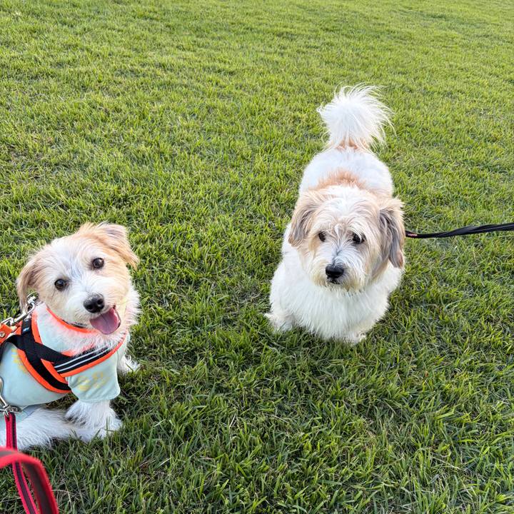 Bd765a05 6f20 42b5 ac70 8c4d850246b0 1758580726753