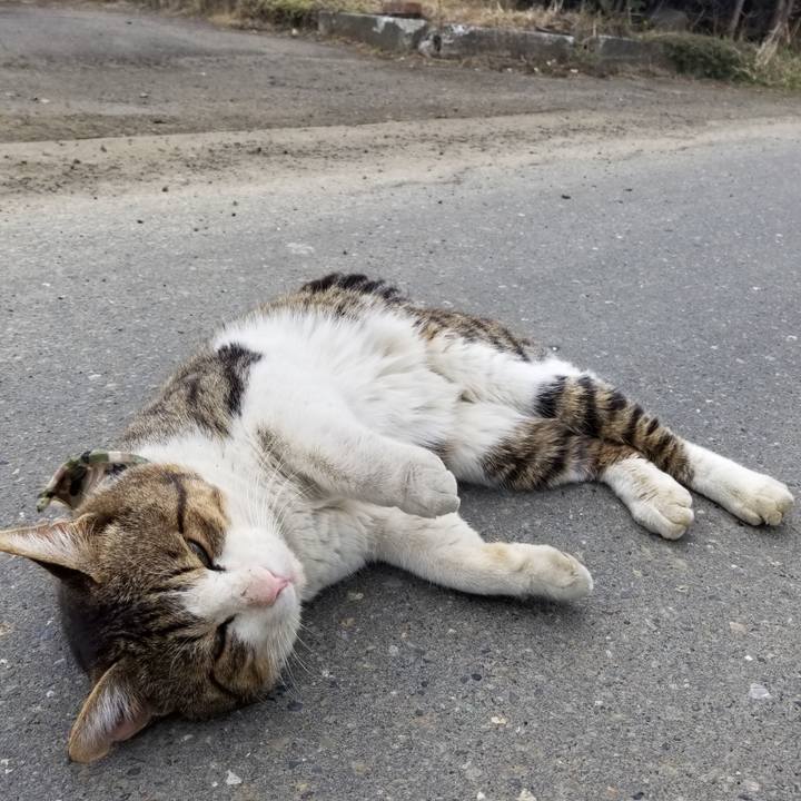 Bd7678e6 1aba 4e7f a9d8 e73611db30f5 1587808922674