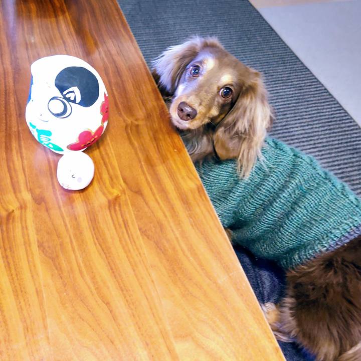 Bd768cd1 47eb 481e 9fb7 48ae8ff5058b 1610174619911