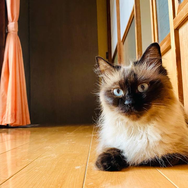 Bd76b77c e870 49c2 b7d9 6889fa4b519d 1688272961605