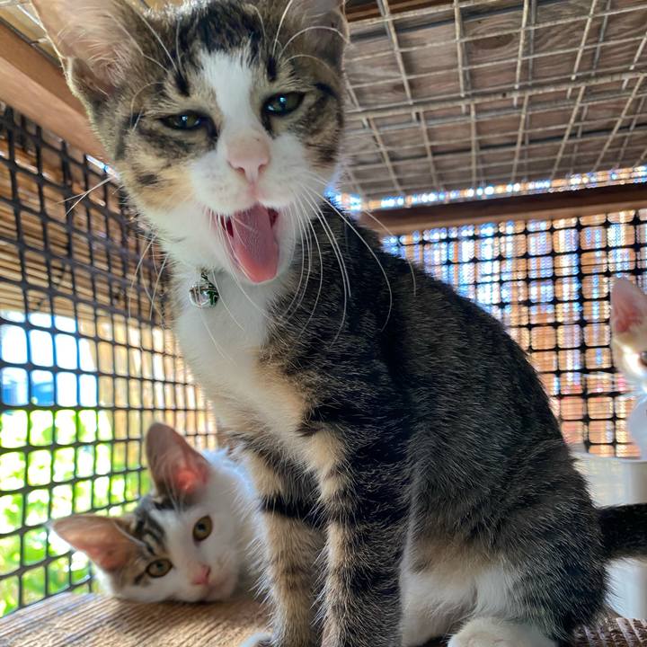 Bd76df10 0206 4c2e 88c1 29b955ad3c88 1632960657052