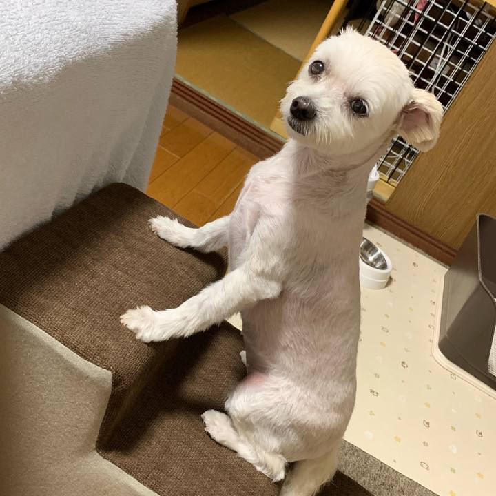 Bd76ebfa fde6 485d 9a92 4eb7af8673bd 1569587825617