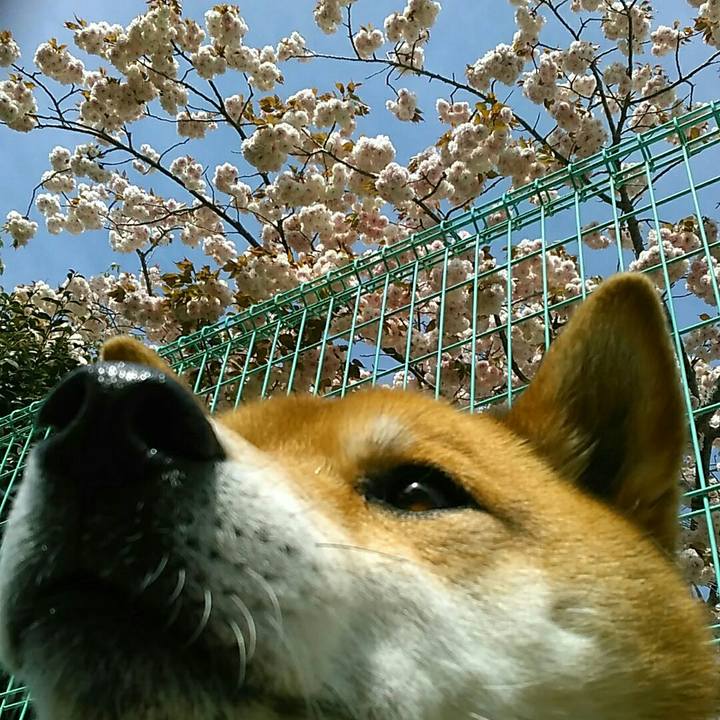 Bd779004 0881 425e ac38 df0c3500b548 1555736141914