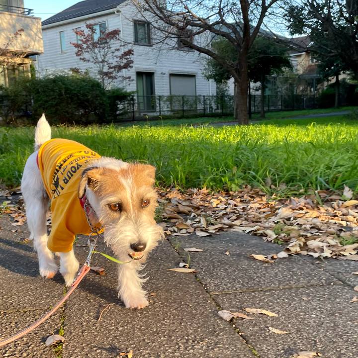 Bd77afc7 b76c 43b5 b891 61ad95127f12 1636185651903