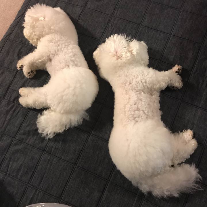 Bd77b0d9 d1f7 43ee 8788 758bf92bfc18 1565170733921