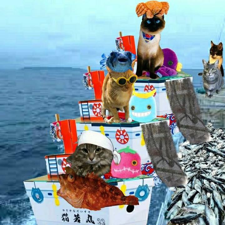 Bd77dbae 7ce8 4f1c 9572 21553bd862da 1556756548704