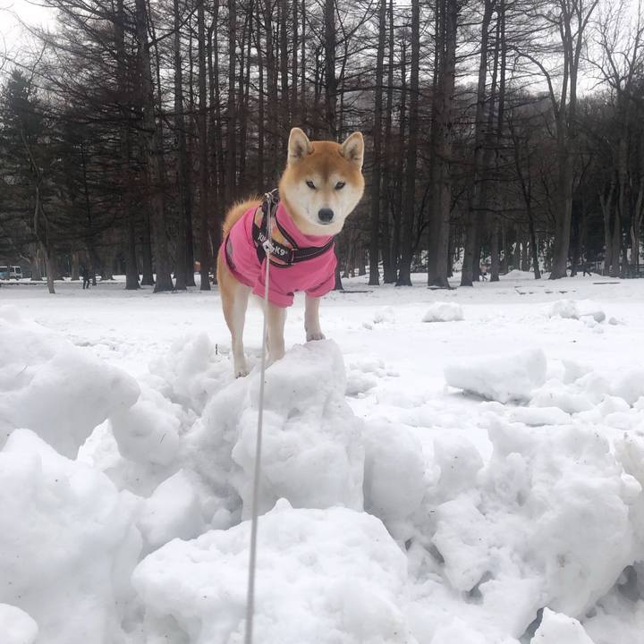 Bd77e915 9115 47f1 b0a3 bcea7589ebf0 1552436365805