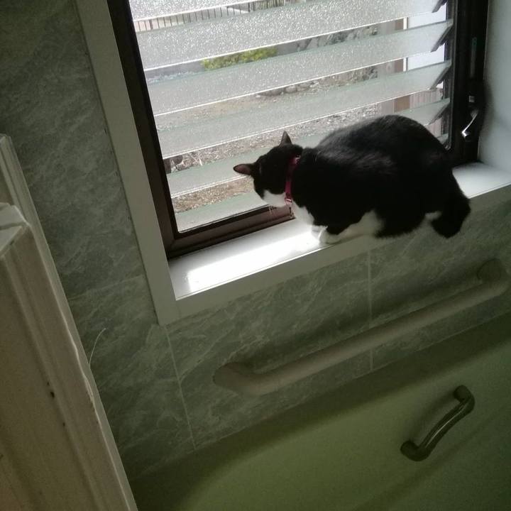 Bd784630 a8f4 4fde 9df3 83d658d711db 1573740236726