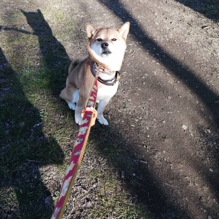 Bd78520d fe4b 47cd a5e1 152540b74768 1582008455659