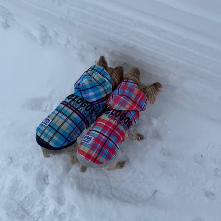 Bd78545e b6ca 4ff6 8e6d 89da141e2893 1608974263072