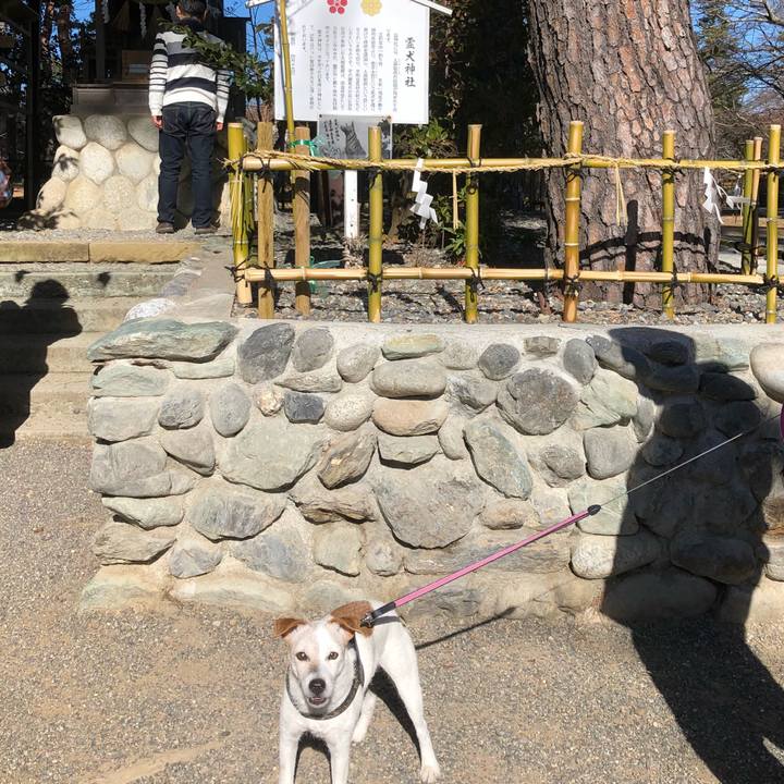 Bd78b187 8e45 4968 91b9 dd475f270683 1515906220211