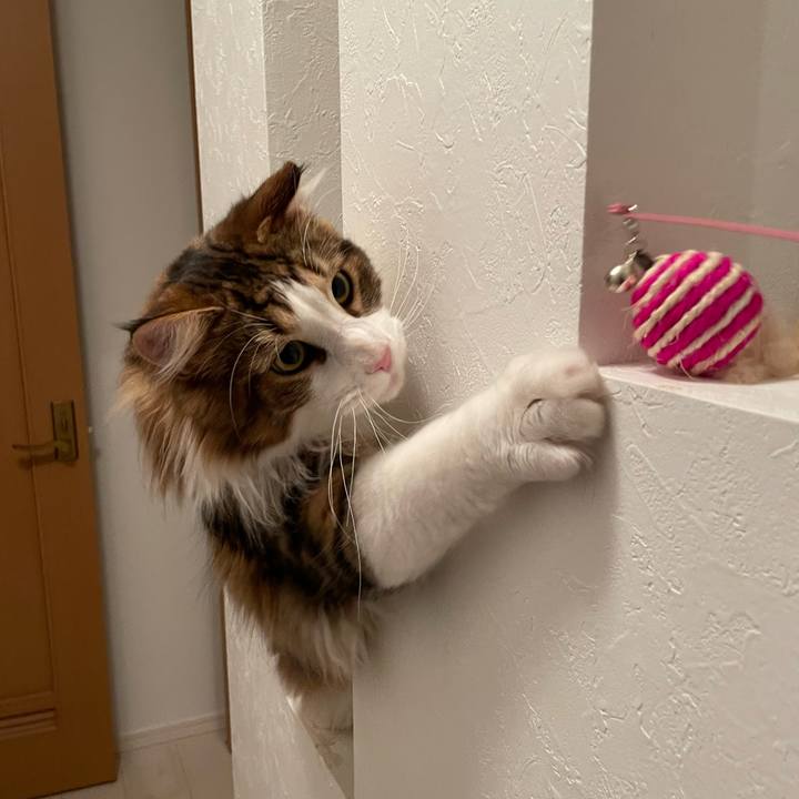 Bd78bcc0 d5a4 4f06 9e82 92bb2b83806f 1650107525707