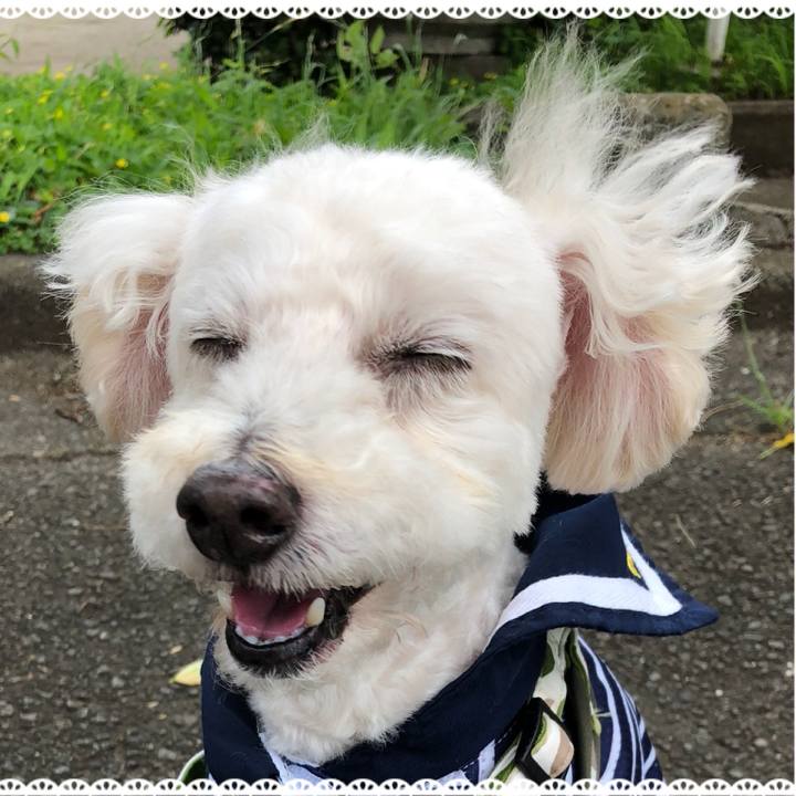 Bd79164a 4915 4a06 93c5 2f873bb948d4 1530284121855