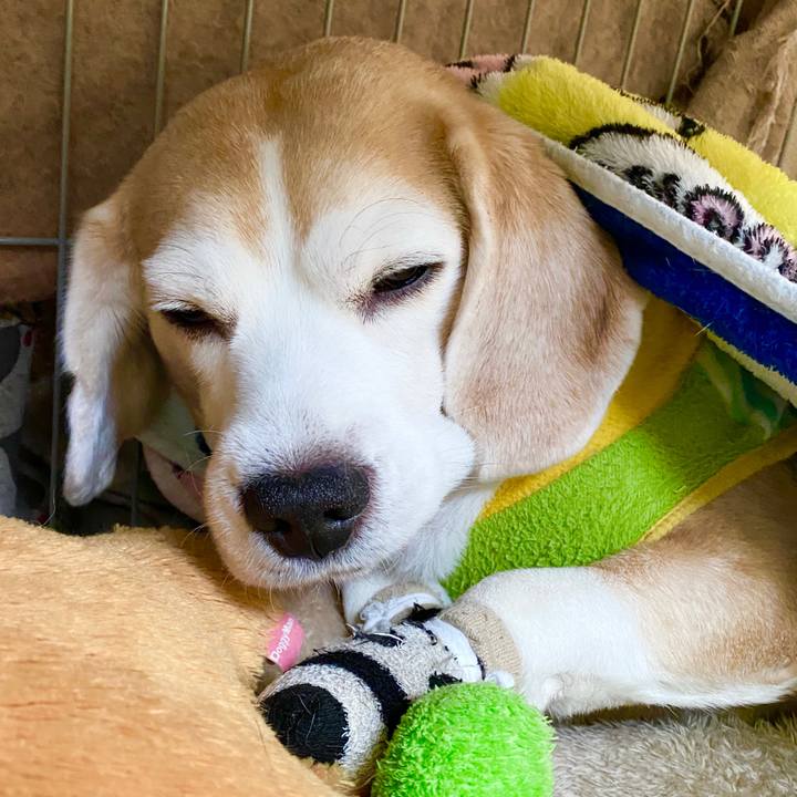 Bd79360e 80e5 400a 8c2a ad91d784eb5d 1583552874765