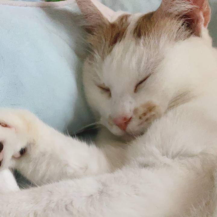 Bd795196 2e52 4441 9ba0 f043f0e40512 1597735064068