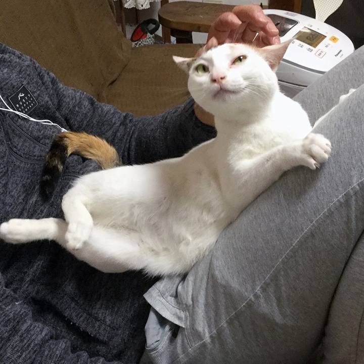 Bd796cbe a951 4103 88ab 79809aefb20d 1605762294279